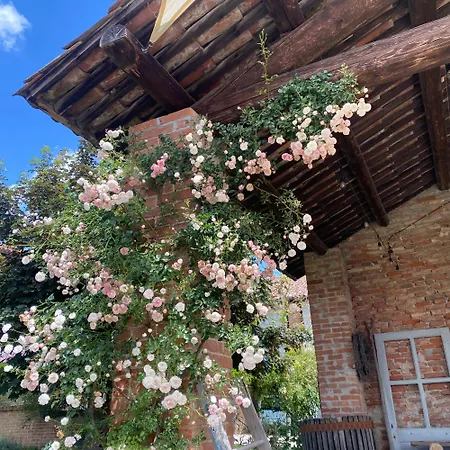 The Wine - Az. Agr. Matunei Farm stay *